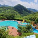 봉원초등학교 이미지