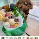 럭투밋(Lucky to meet U) 이미지