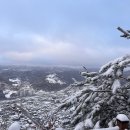 산업전사 위령탑 | 태백 시내 박지 탐색
