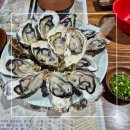 세꼬시닷컴 | 신논현역 꽃새우, 석화, 방어회 '세꼬시닷컴' 강남 해산물 찐 맛집 추천!