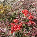 지남경로당 이미지