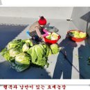대미농장 이미지