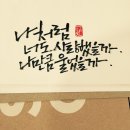 감성을 쓰다 캘리그라퍼 이미지