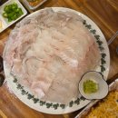 청춘의어부 | 청담동 주민들의 찐 활어회 맛집 "청춘어부"에서 소주 6병 깐 후기^^