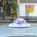 신갈마로-12 이미지