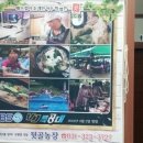 뒷골농장 이미지