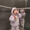 시우목장 이미지