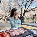 고기야고기야 | 성북천 벚꽃 야장 오픈런 후기 고기야 놀자 웨이팅 정보