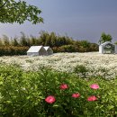 카페정원 이미지