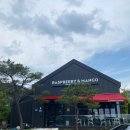 [의왕/왕송호수] 휴양지느낌의 베이커리 디저트카페 <라즈베리앤망고 : Raspberry&amp;Mango>