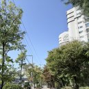 비에이치씨신도림미래점 | [34주차] - 웰컴 투 빨래 월드