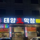 동그리생생 이미지