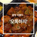 불타오리
