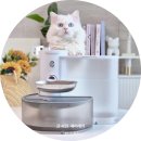 초초펫 | 고양이 정수기 고민, 필터형 쓰다 푸푸펫츠 자동급수기로 바꾼 이유