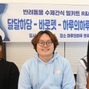 달달하루