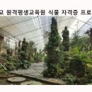 반려식물 상담지도사, 약초관리사, 산림자원활용지도사, 테라리움지도사 자격을 대림대학교원격평생교육원에서 취득 이미지