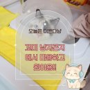 꼬미잇 | 부산고양이미용·최고! 고양이호텔 전문 냥지곤지ㅣ렉돌냥솔직후기