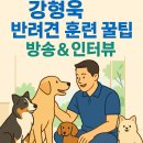 그림책으로 보는 반려동물과 보호자의 관계 | 강형욱 반려동물 훈련사, 최근 방송과 인터뷰 (2025년 최신 근황 정리)