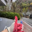 따듯한오후 낮잠소리 | 누구나 할 수 있다! 당근 알바 [직장인의 소소한 용돈 챙기기]