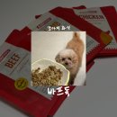 소.화식당 | [반려동물/사료] 기호성 좋은 강아지화식 샘플 급여 후기, 바프독