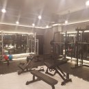 하태GYM 이미지