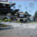 24시카센타 네이버블로그