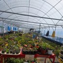 희자농장 이미지