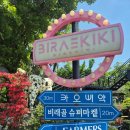 [데이트] 대전 태국음식 라오스음식 팟타이 맛집 카오삐약 후기 (재방문의사O)