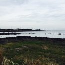 금영수산 이미지