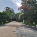 서울 호국지장사(화장사) (2021.06.24)