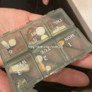 롯데마트 거제점 | 일상 아직 3월 중순이지만 부산 거제 홍대 동대문 볼꾸 월미도 까지