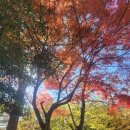 가야사 누리길 탐방1 | 가을등산 금정산 범어사 누리길-범어사 청련암-고당봉-북문-범어사 회귀 코스 후기 총 소요시간...