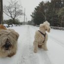 미로객잔 이미지