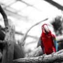 새동네농장 이미지