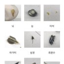 하연과학 - 고양시 일산동구 숲속마을로 40 | 하연과학