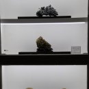 부천수석박물관 이미지