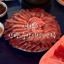 안양중앙인정시장 | [안양 / 신화수산] 안양 중앙시장 맛집 추천 방어맛집 내돈내산 후기