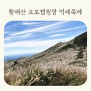 가회면사무소 | 황매산 오토캠핑장 D-10사이트 억새축제와 별보기 예쁜 곳