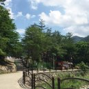 태백숯불갈비 이미지