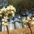 중3동우체국 이미지