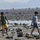 학림섬어촌체험휴양마을 이미지