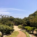 1호매점 | 5살 아이와 아빠 대무의도 섬뜰아래 캠핑장 피크닉 1호 4시간 이용 후기 | 갯벌과 해변이 코앞에 있어요