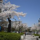 석촌공원길 이미지