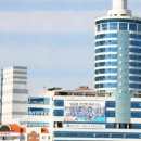 쇼펠리스 이미지