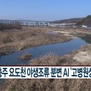 요도천 이미지