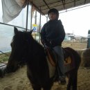 으뜸합기도체육관 이미지