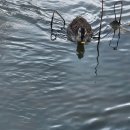 선물같은시간 이미지