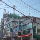 미그린 이미지