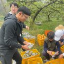 세종도원초등학교 이미지