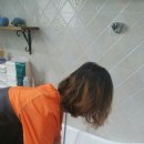 강아지 호텔 이미지